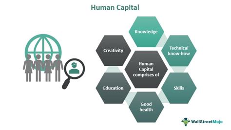 Human Capital Economics Explained