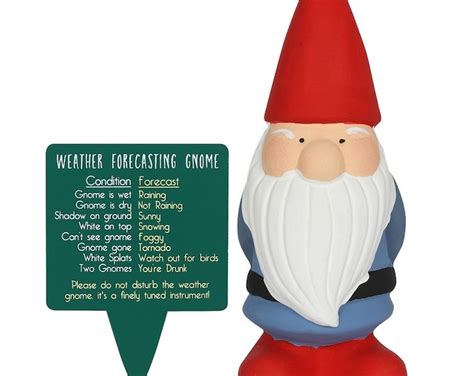 Humorous Weather Forecasting Garden Gnome Ornament Cute Garden Ornament