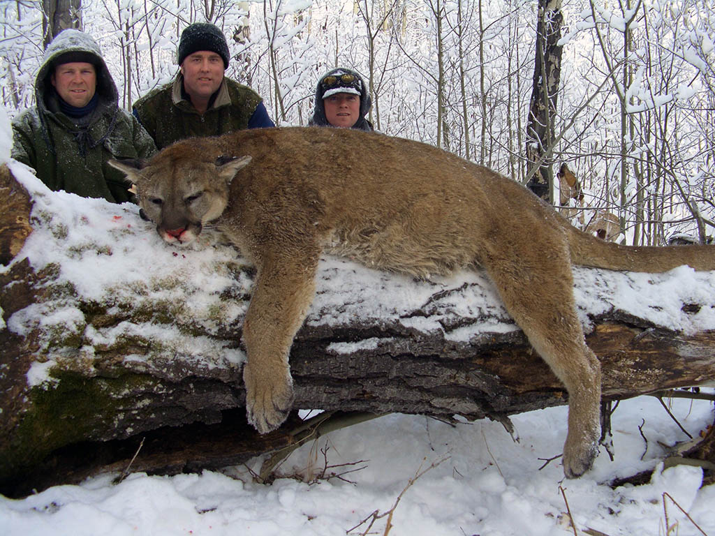 Hunting Alberta Canada: Find Best Spots