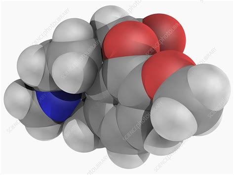 Hydrocodone Meet Your Medicine