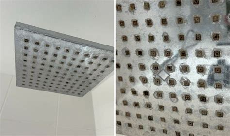 I Removed Limescale From My Shower Head Using 1 Cupboard Essential