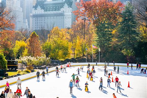 Ice Skating High Park