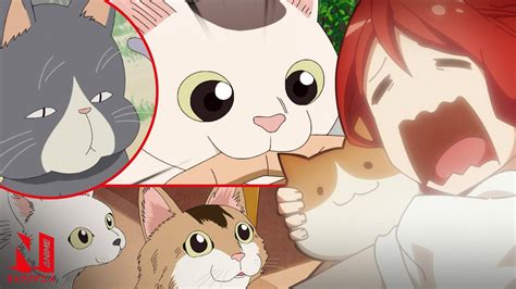 Iconic Anime Cats Anime Music Video Amv Netflix Anime Youtube