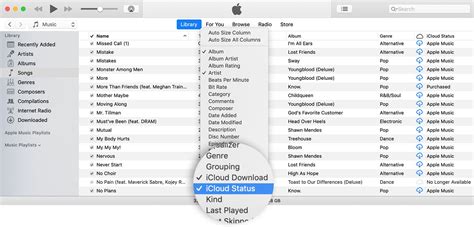 Identify Cloud Status Icons In Your Music Library On Your Mac Or Pc