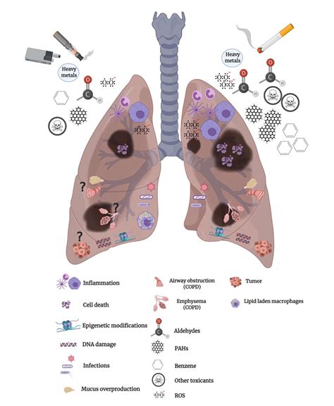 Ijms Free Full Text Inhalation Toxicology Of Vaping Products And