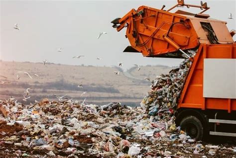 Illegal Dumping Causes Effects And Solutions To Huge Piles Of Wastes