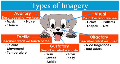 Illustrations That Show Imagery