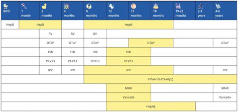 Immunization Schedule Hamburg Pediatrics