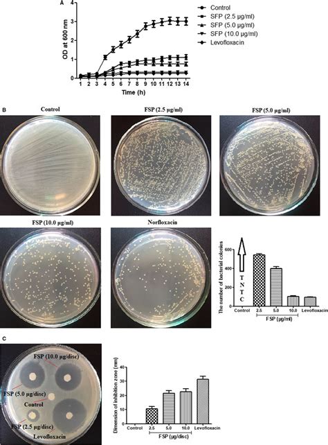 In Vitro Antibacterial Analysis Of The Polysaccharide A Bacterial