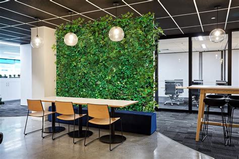 Indoor Air Quality Plants In The Office Increase Productivity