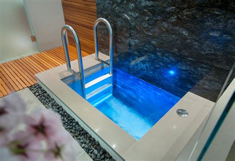 Indoor Cold Plunge Pool Modern Pool Vancouver By Alka Pool