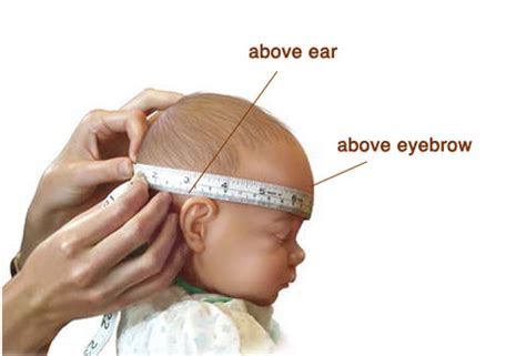 Infant Head Circumference