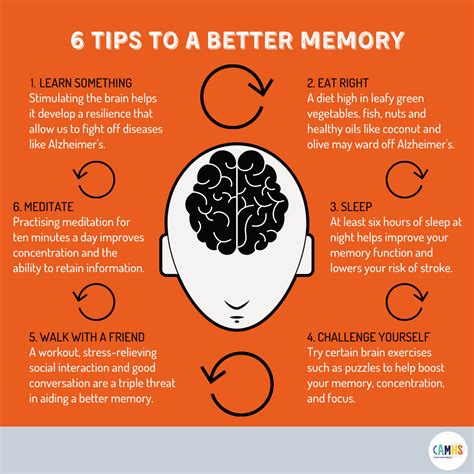 Infographic 7 Techniques To Help Improve Your Memory