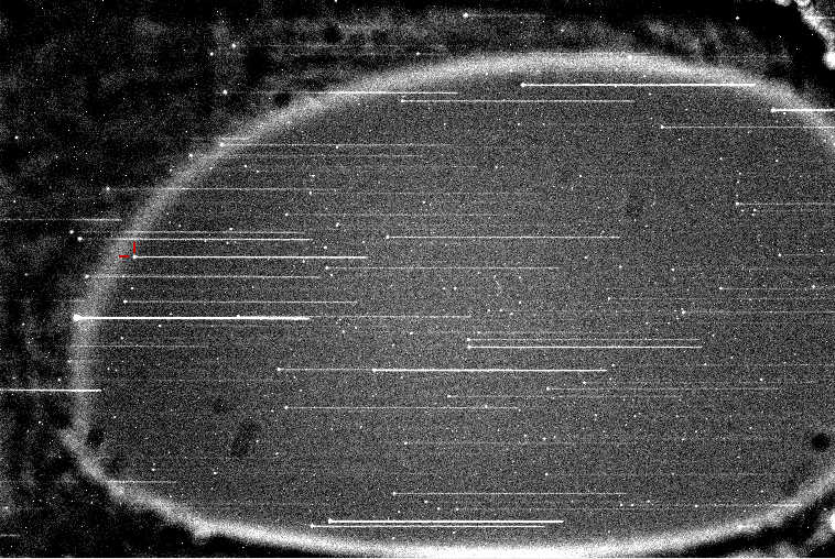 Iris Of Occultation