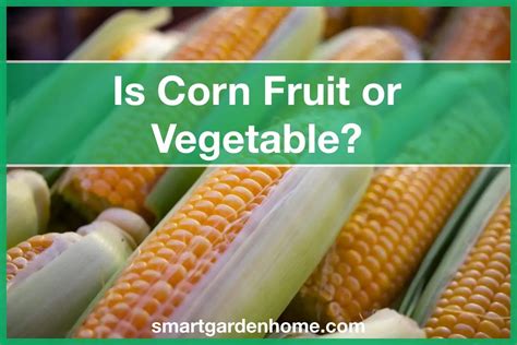 Is Corn A Fruit