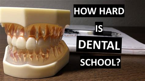 Is Dental School Hard