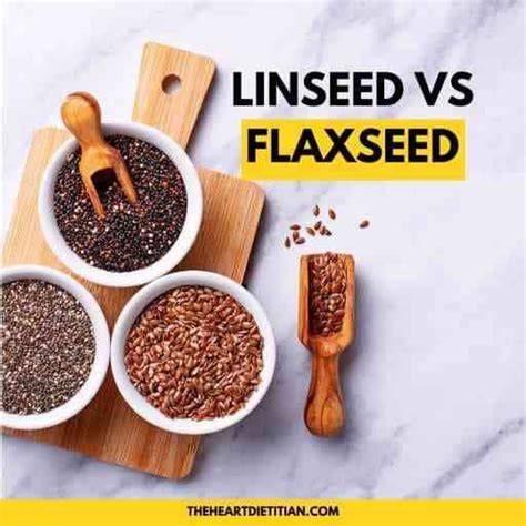 Is Linseed And Flaxseed Same