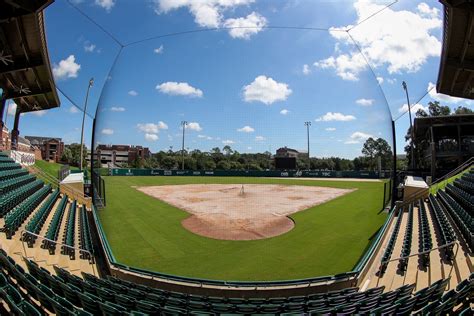 Joanne Graf Field