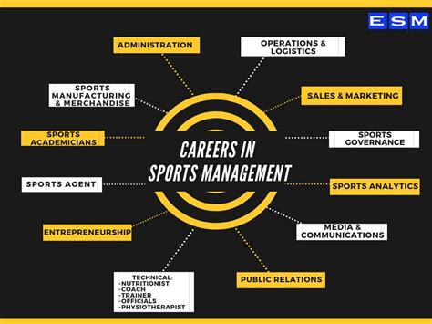 Jobs I Am Qualified For With Sports Management Degree