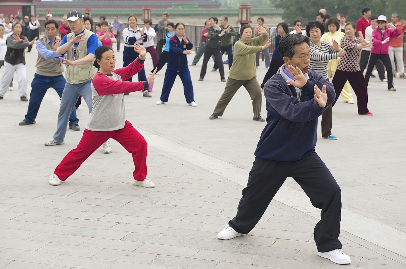 Julian Chu T'ai Chi: Master Techniques