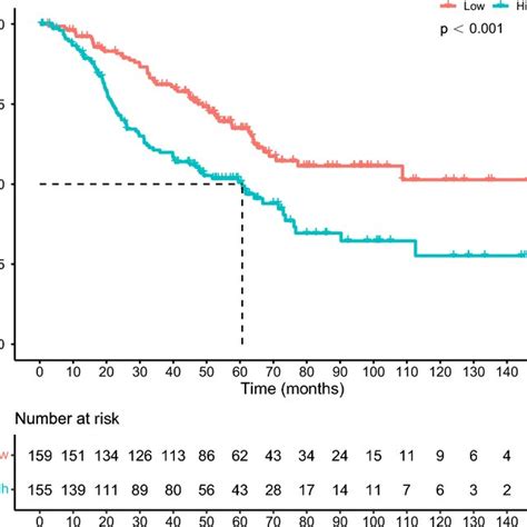 Kaplan Meier Curves Of Melanoma Specific Survival For Patients In Low