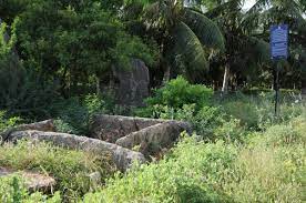 Kodumanal Archaeological Sites Menhir And Megalithic Burial Sites