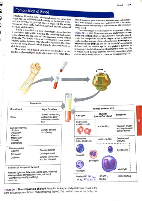 Lab Blood Review Sheet 29 Biol 2402 Professor Adams Circulating