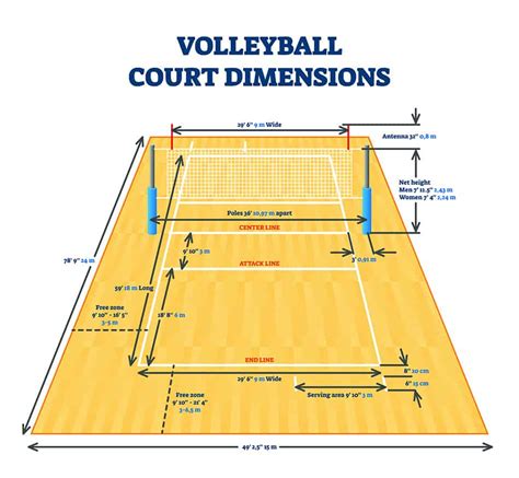 Label The Volleyball Court