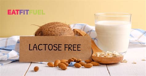 Lactose Free Protein Shakes Boost Digestion Easily Web Monitor