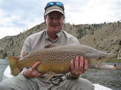 Land Of The Giants Steinmetz Outfitters Montana S Number One Trout