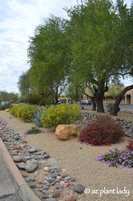 Landscape Do S Ramblings From A Desert Garden