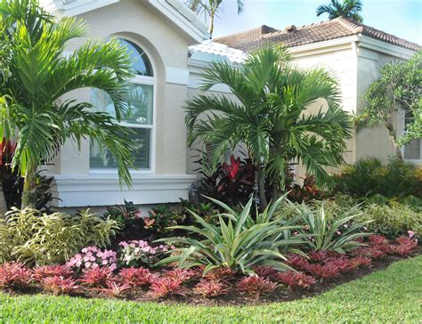 Landscape Plants For Florida