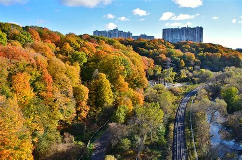 Leaside Park Toronto