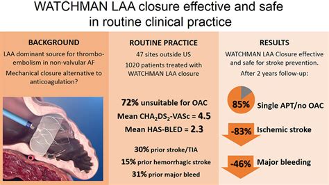 Left Atrial Occlusion: Prevent Stroke Risks