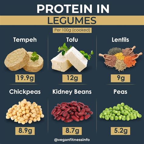 Legume: Rich In Protein