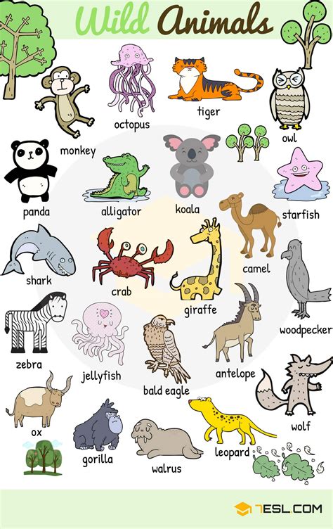 List Of Animals Expand Your Knowledge With Essential Animal Vocabulary