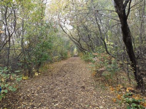 Little Mountain Park Winnipeg All You Need To Know Before You Go