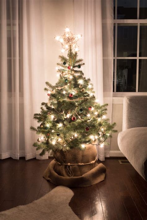 Live Christmas Tree In House At John Weber Blog