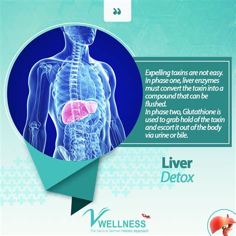 Liver Detox V Wellness Clinic