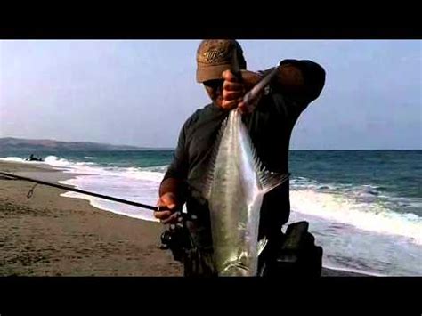 Loomis Gl2 Shimano Waxwing Field Test Part 1 Italy 2011 Youtube