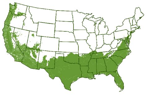 Loquat Tree Growing Zone Map