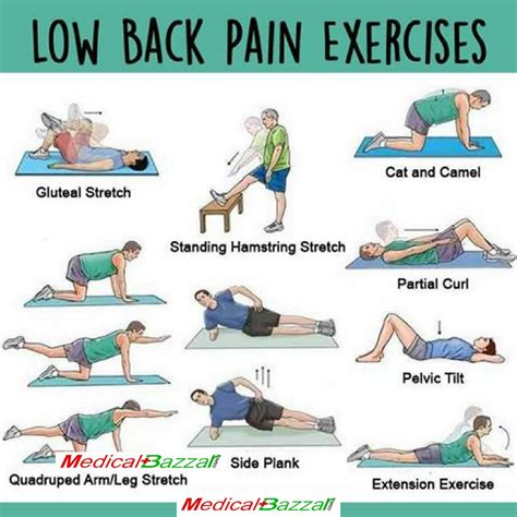 Low Back Pain Stretches