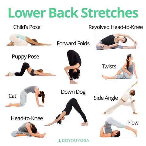 Low Back Stretches