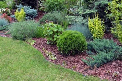 Low Maintenance Landscaping Ideas For Minnesota Homes Ald