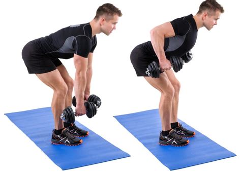 Lower Back Exercises Dumbbell