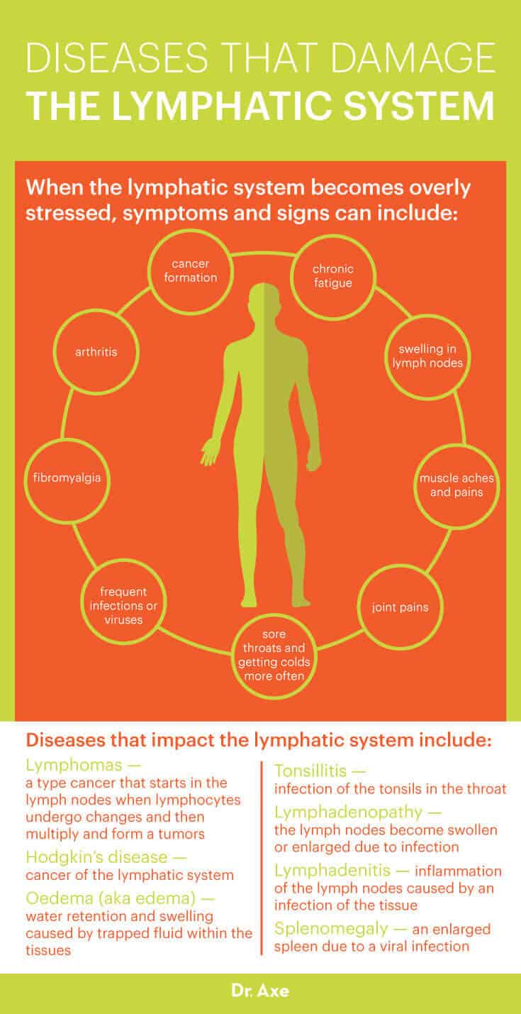 Lymph Node Infection Causes Of Lymphatic System Diseases Or Swollen