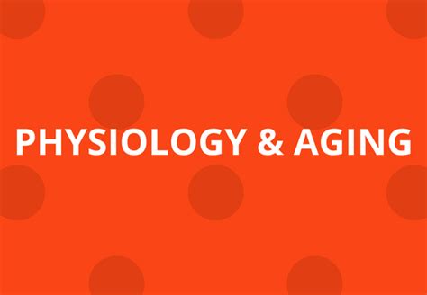 M S In Physiology And Aging Department Of Physiology And Aging