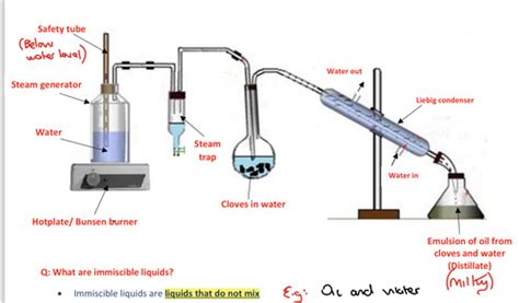 Mandatory Experiment To Extract Clove Oil From Cloves By Steam