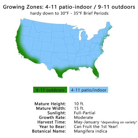 Mango Tree Growing Zone