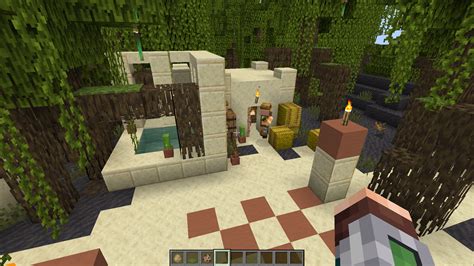 Mangrove Desert Village Minecraft Seeds